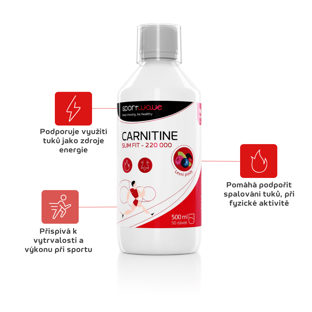 CARNITINE 220 000 – produktová fotka